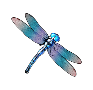 static_dragonfly