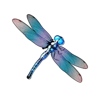 static_dragonfly