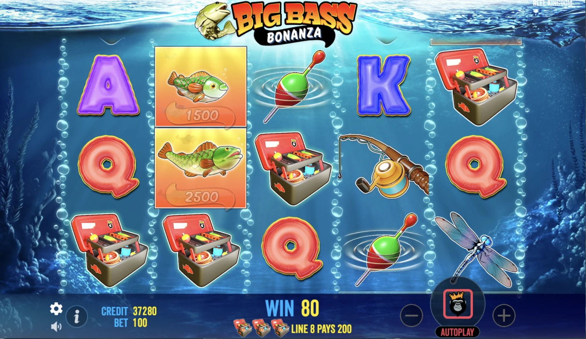 What are the main differences between the versions of big bass bonanza slot game?